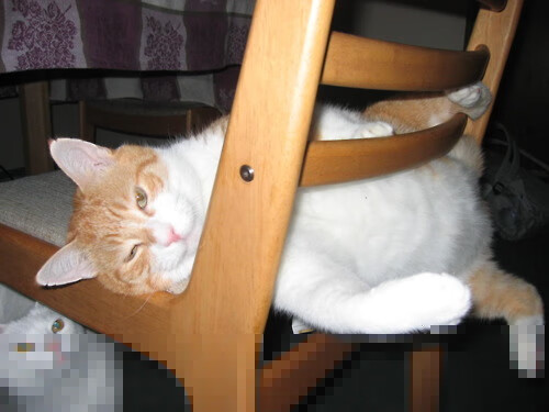 九游手游官网-失利分析：哪些因素导致失败？，什么是失利